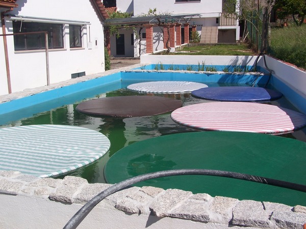 The pool with removable floating "plastic lilies" for insulation at night