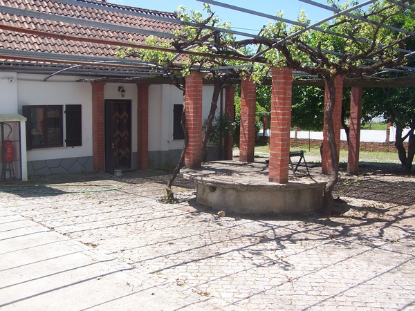 The main well area and kitchen door... could it be used for dining al fresco?